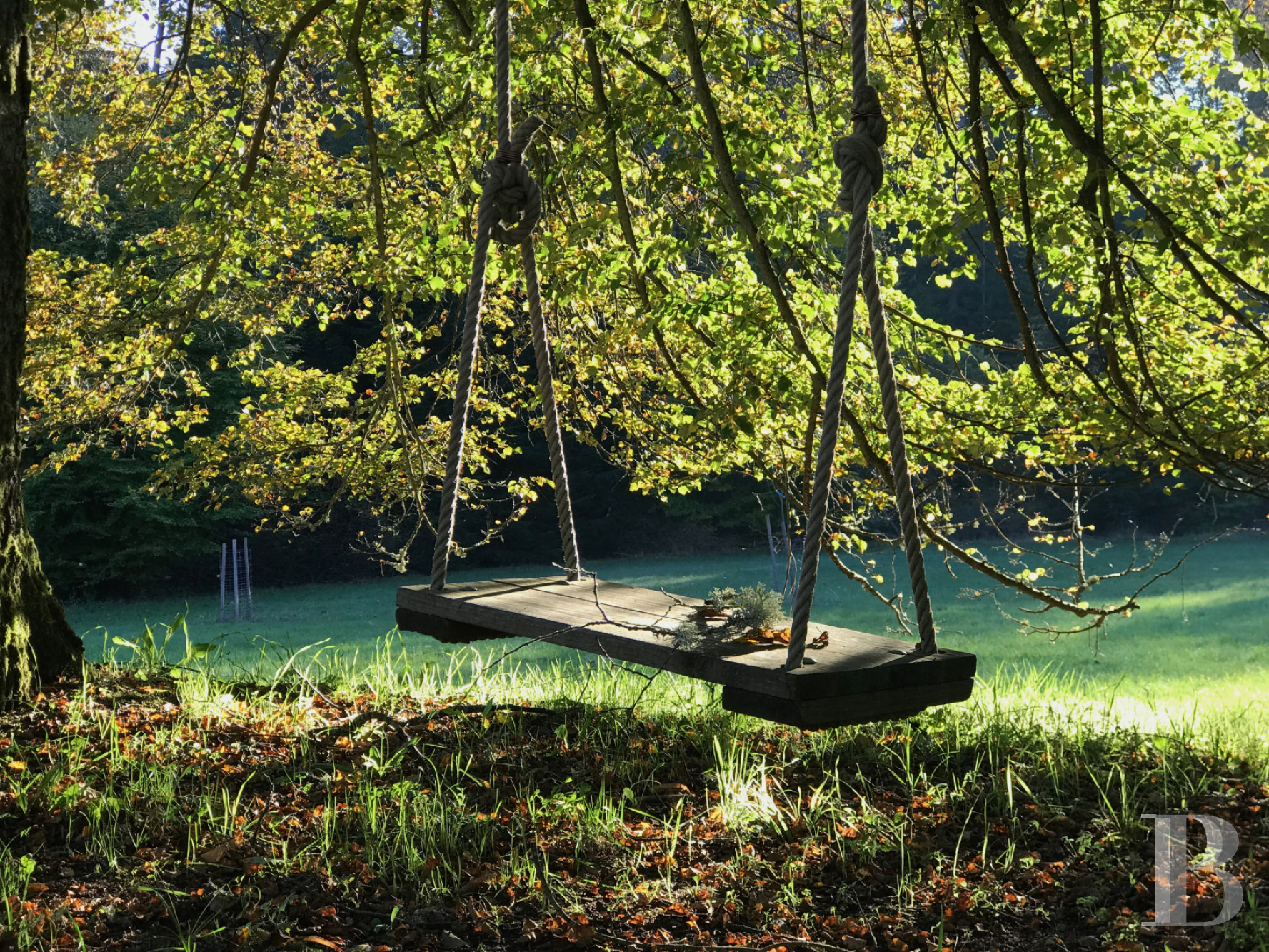 Dans les Vosges du Nord,  un ancien pavillon de chasse du 19e siècle transformé en confortable maison alsacienne traditionnelle - photo  n°3